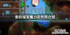 泰拉瑞亚魔力花是什么 泰拉瑞亚魔力花有什么用