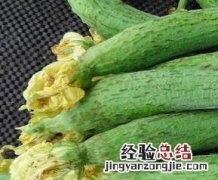 丝瓜的功效与作用的功能与主治与用量 丝瓜的功效与作用