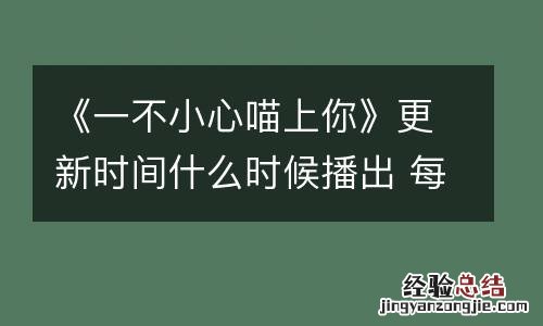 《一不小心喵上你》更新时间什么时候播出 每周几几点更新几集
