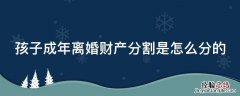 孩子成年了离婚怎么判抚养费 孩子成年离婚财产分割是怎么分的
