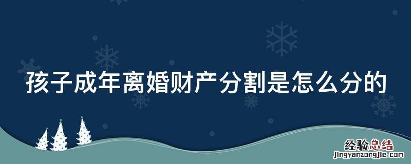 孩子成年了离婚怎么判抚养费 孩子成年离婚财产分割是怎么分的