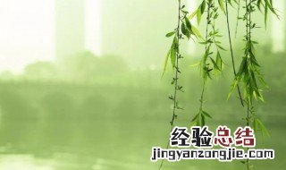 四时八节是什么意思 四时八节简单介绍