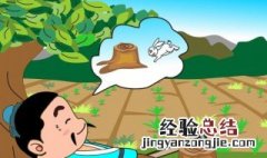 守株待兔是什么意思 守株待兔简单介绍