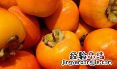 懒柿子和什么不能一起吃 懒柿子可以和橘子一起吃吗