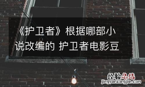 《护卫者》根据哪部小说改编的 护卫者电影豆瓣