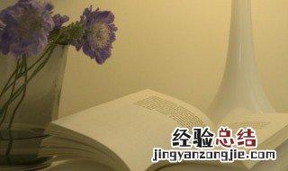 适的拼音 适怎么组词