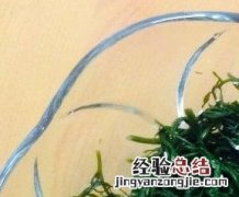 新鲜马尾藻的吃法 马尾藻怎么做好吃