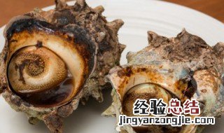 海螺的做法蒸多长时间 海螺的蒸几分钟