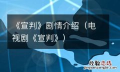 电视剧《宣判》 《宣判》剧情介绍