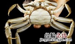 螃蟹没有煮自然变红 螃蟹没有煮自然变红的原因