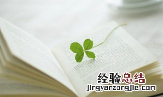 斐,怎么读 斐读什么