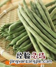 菜豆怎么做好吃腌制 菜豆怎么做好吃