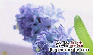 鸡肋是什么意思网络语言 鸡肋是什么意思网络