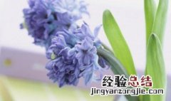 季节 文案 季节文案短句