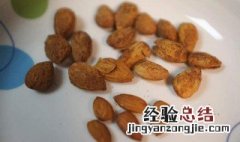 苦杏仁有毒吗 苦杏仁的食用量