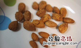 苦杏仁有毒吗 苦杏仁的食用量