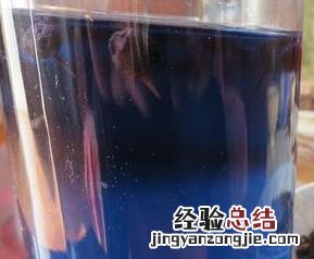 黑枸杞泡酒喝的功效与作用 黑枸杞泡酒喝的功效与作用及禁忌