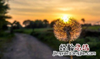 治愈系暖心唯美短句 温柔干净无关爱情的句子