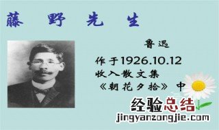 藤野先生选自什么书 作者是谁