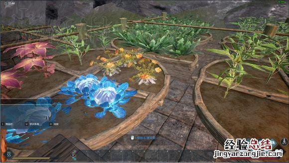 黑暗与光明饲料种植图文攻略 黑暗与光明神兽饲料配方
