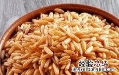 燕麦米的功效与作用 燕麦米的功效与作用及营养价值