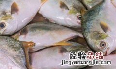 金鲳鱼好吃吗? 金鲳鱼好吃吗