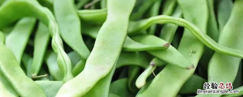 荷兰豆的高产种植技术 荷兰豆高产栽培技术,什么品种好
