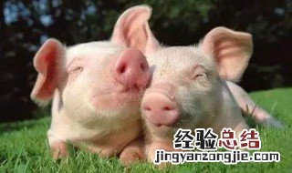 养猪场的废水处理 处理方法如下