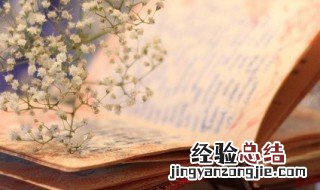 走马上任是什么意思 走马上任的含义