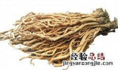 板蓝根的功效与作用 板蓝根的功效与作用很多