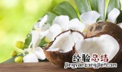青椰子怎么挑选 新鲜青椰子怎么挑选