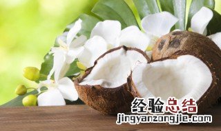 椰子热量 椰子有多少热量