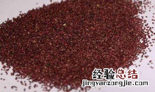 草莓籽怎么取 草莓籽的作用