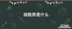 细胞的胞质是什么 细胞质是什么