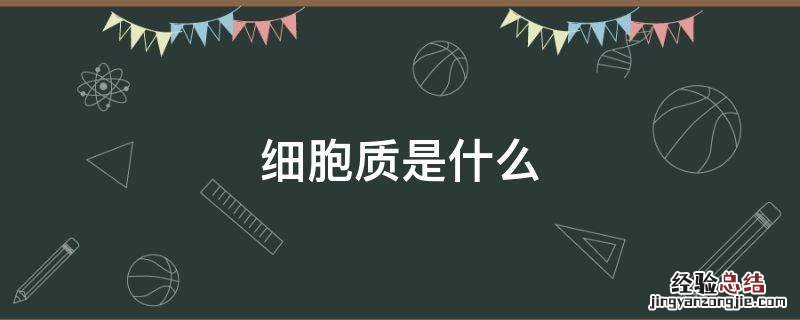 细胞的胞质是什么 细胞质是什么
