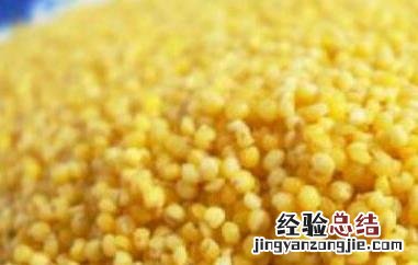 小黄米的功效与作用及营养价值 小黄米的功效与作用