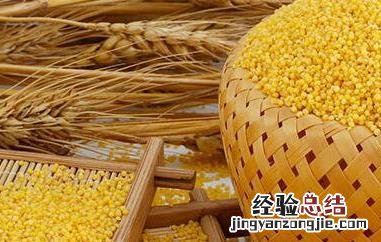 小黄米的功效与作用及营养价值 小黄米的功效与作用