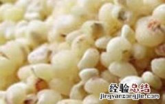 麦仁米的功效与作用 麦仁米的功效与作用及食用方法什么人群不适合吃大黄米