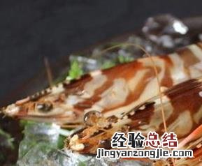 九节虾怎么做好吃 九节虾怎么做好吃点