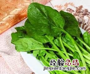 青菜的营养价值有哪些 青菜的营养价值有哪些种类