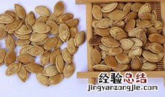 南瓜子中药的功效与作用图片 南瓜子中药的功效与作用