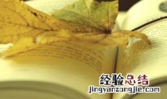 居功自傲的居是什么意思 居功自傲的含义