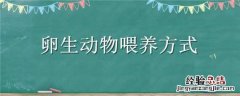 卵生动物喂养方式是什么 卵生动物喂养方式