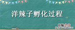洋辣子孵化过程 洋辣子孵化过程图片
