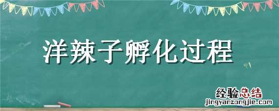 洋辣子孵化过程 洋辣子孵化过程图片