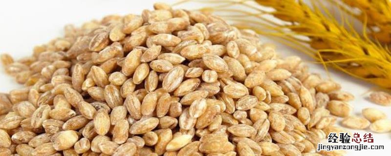 小麦种子结构组成，结构中什么是新植物的幼体