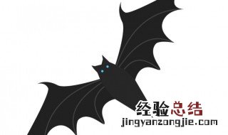 蝙字的组词 蝙字的组词介绍