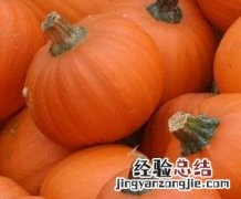栗子南瓜的营养价值与功效 南瓜的营养价值与功效