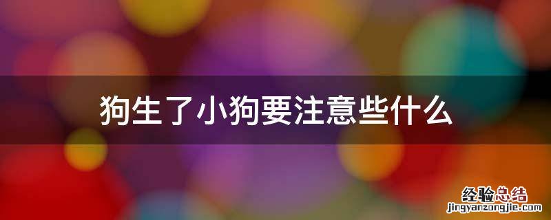 狗生小狗的时候要注意什么 狗生了小狗要注意些什么