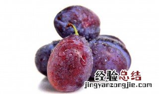西梅坏了是什么样 西梅坏了是什么样的